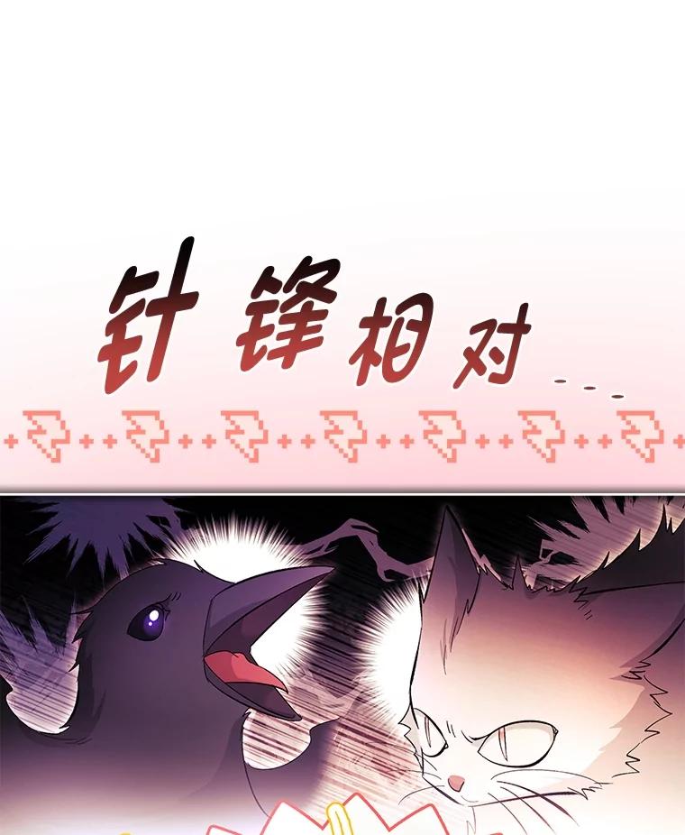 男主角喜欢的都可以 60.茶会风云 第79页