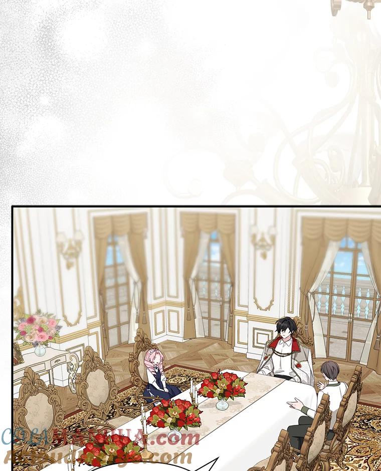 《反派家族的掌权小女儿》10.艾柯利尔药草 第117页