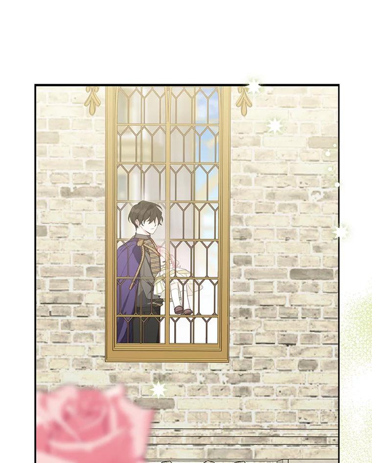 《反派家族的掌权小女儿》12.起名 第74页