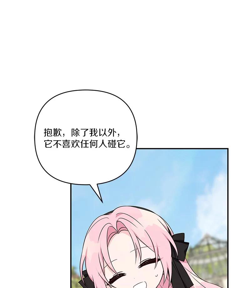《反派家族的掌权小女儿》44.星之所在 第99页