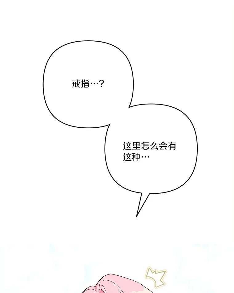 《反派家族的掌权小女儿》48.天空之冠的庇护 第112页