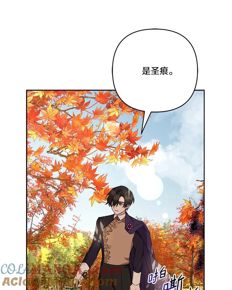 《反派家族的掌权小女儿》61.圣痕袭来 第17页