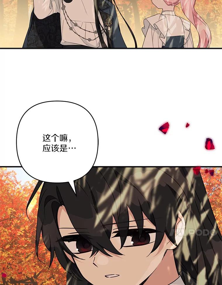 《反派家族的掌权小女儿》61.圣痕袭来 第38页