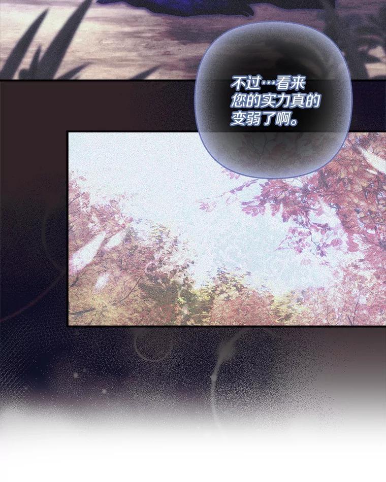 《反派家族的掌权小女儿》63.希望她幸福 第40页
