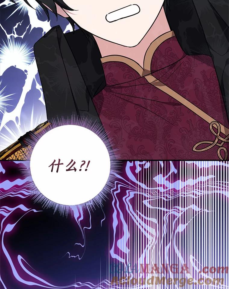 《反派家族的掌权小女儿》66.试试新庇护 第117页