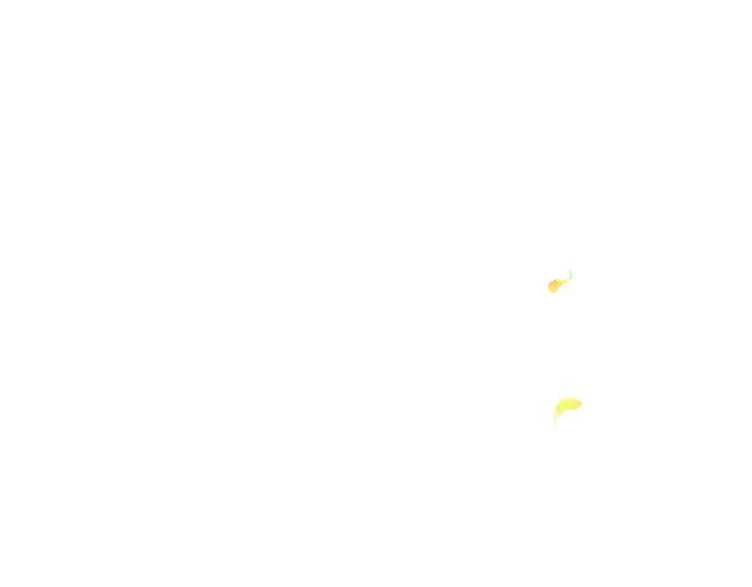 《黑暗皇女：雅什泰洛迪》第61话 第40页