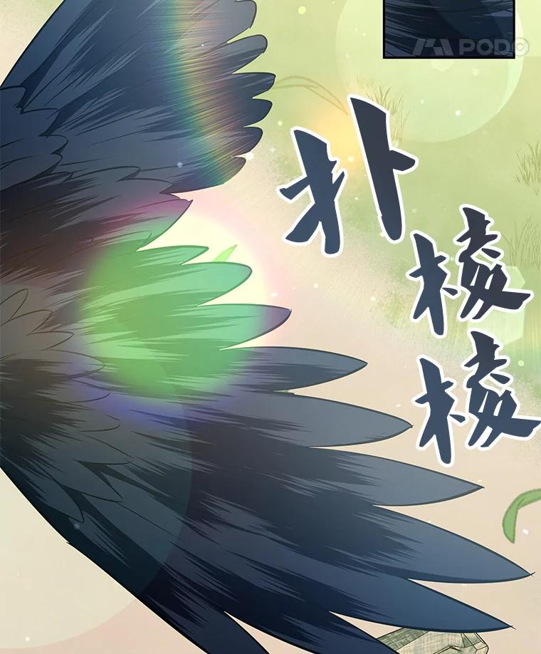 《游戏奇缘》10.战争结束 第22页