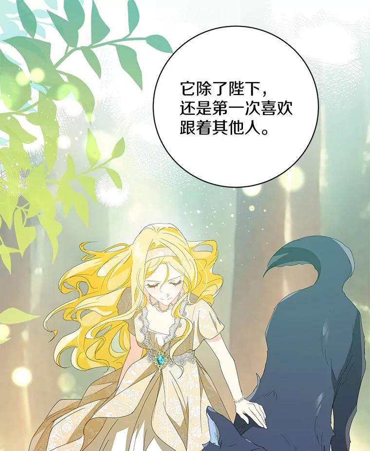 《我从没抛弃过陛下》12.可能是例外 第56页
