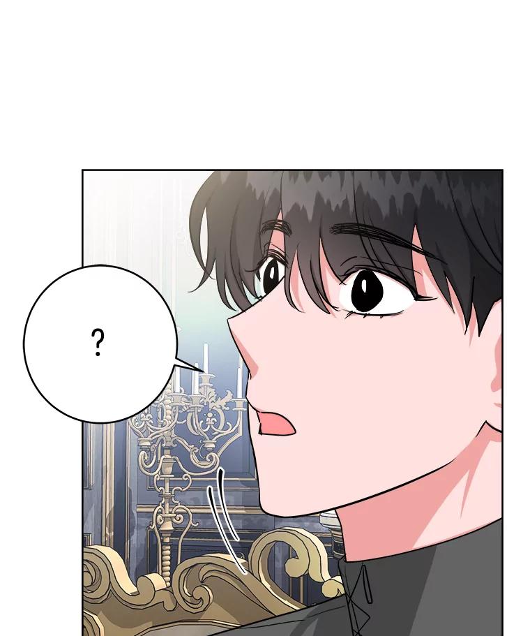 《怕冷的北部大公》13.无可救药的颜控 第40页