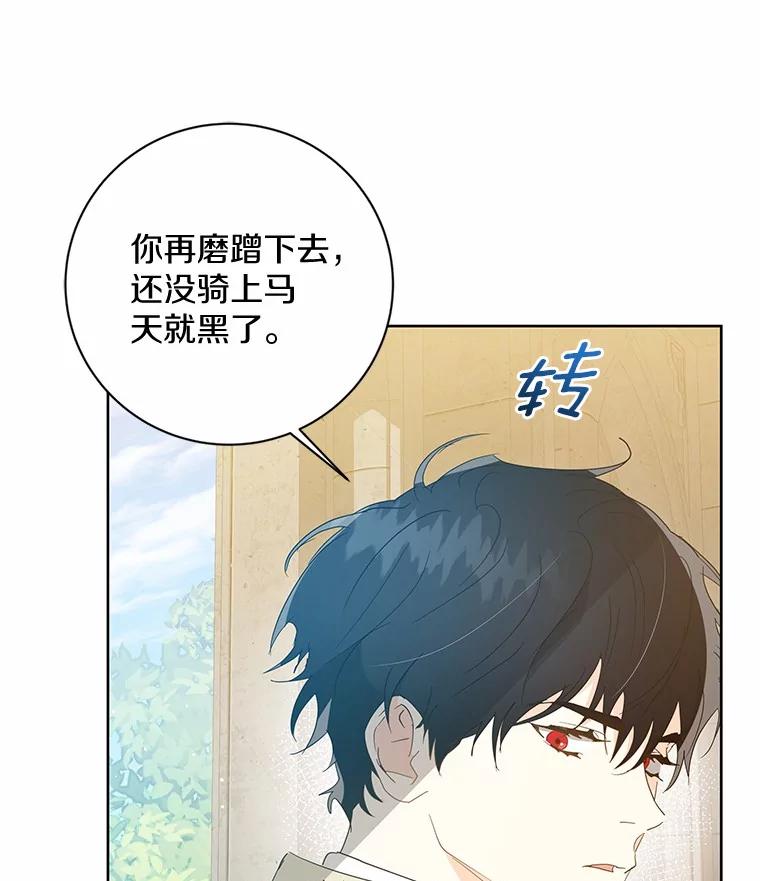 《我从没抛弃过陛下》14.学习骑马 第10页