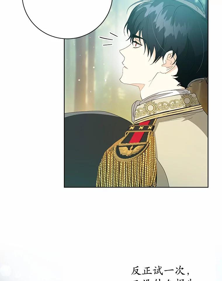 《我从没抛弃过陛下》14.学习骑马 第90页