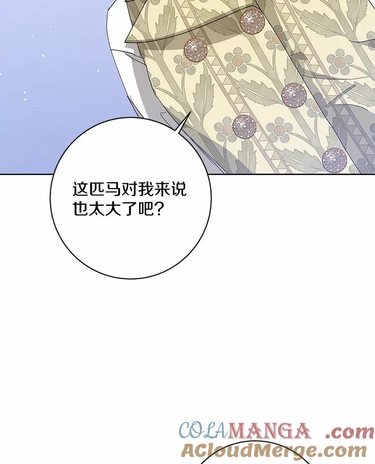 《我从没抛弃过陛下》14.学习骑马 第21页
