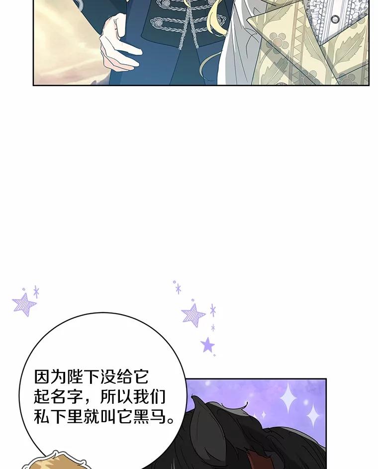 《我从没抛弃过陛下》14.学习骑马 第23页