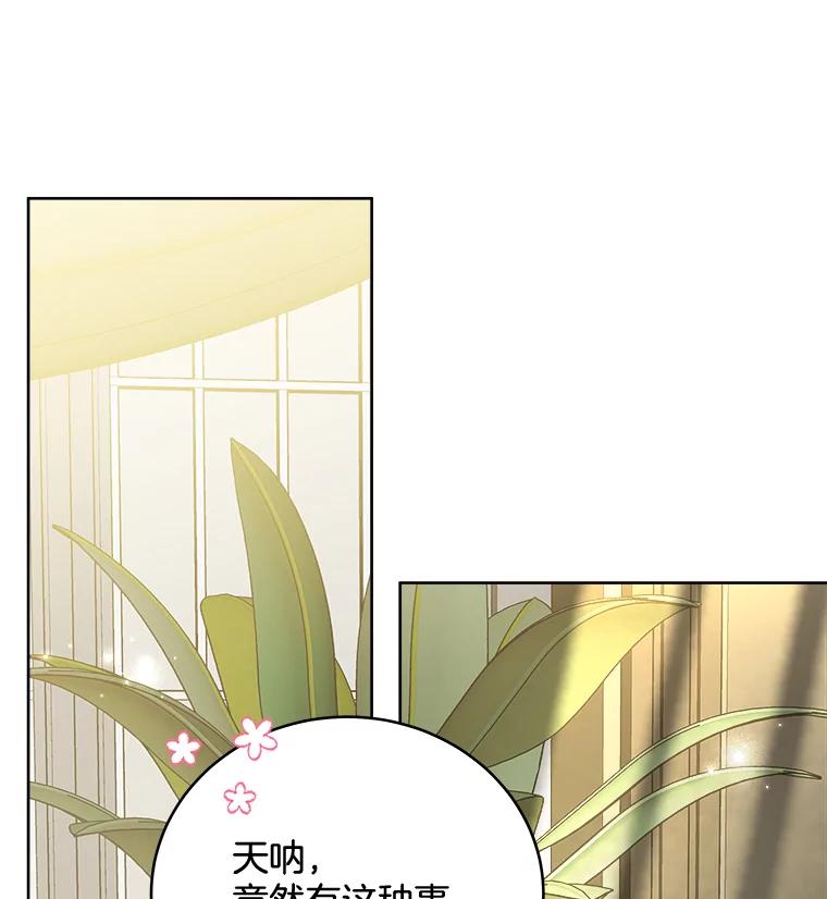 《怕冷的北部大公》14.挑选礼服 第14页