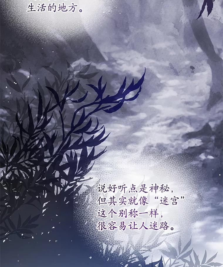 《我从没抛弃过陛下》15.参加狩猎祭 第68页