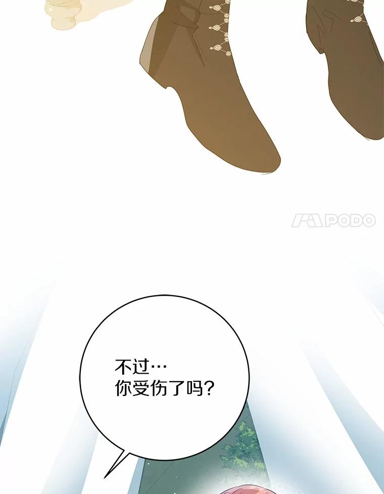 《我从没抛弃过陛下》15.参加狩猎祭 第43页