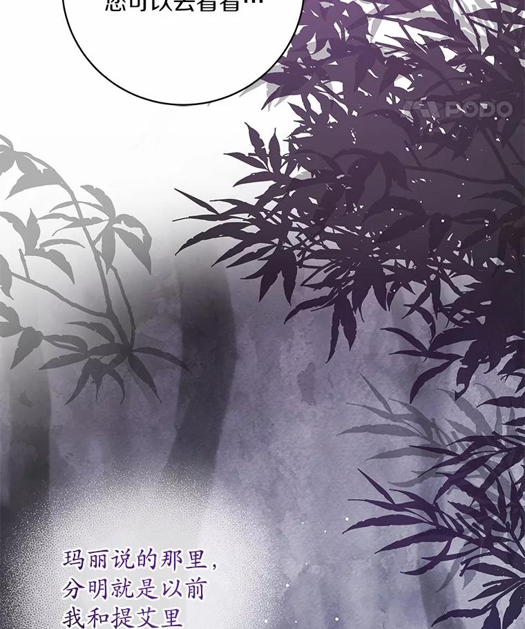 《我从没抛弃过陛下》15.参加狩猎祭 第67页