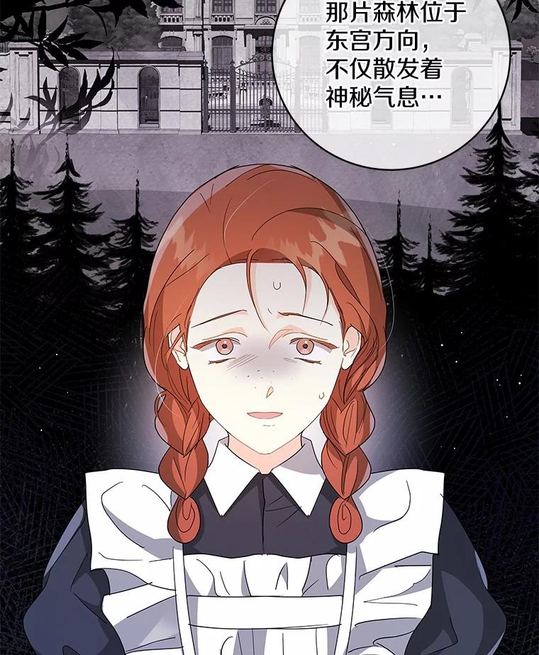 《我从没抛弃过陛下》15.参加狩猎祭 第62页