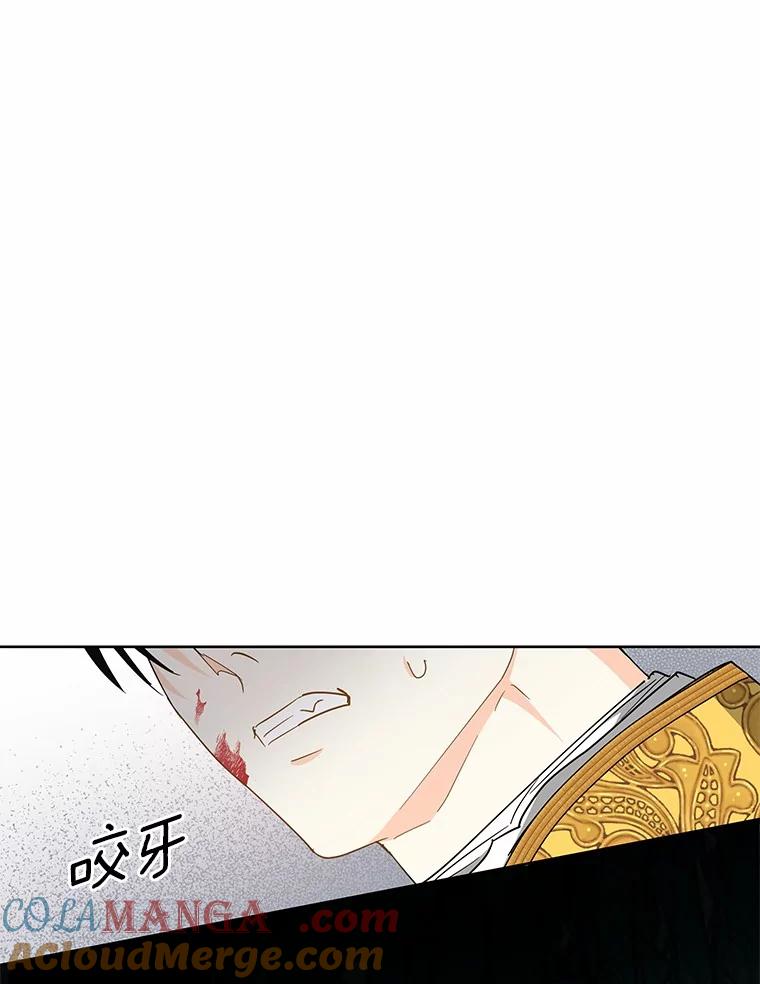 《我从没抛弃过陛下》17.是谁都无所谓 第94页