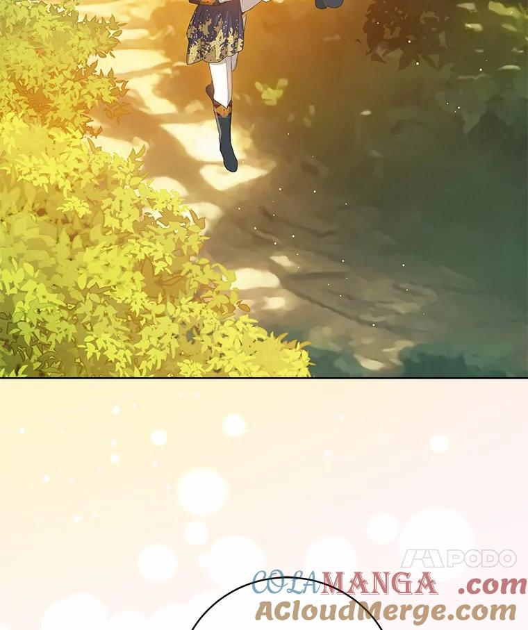 《我从没抛弃过陛下》18.觉醒力量 第41页