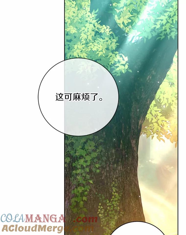 《我从没抛弃过陛下》18.觉醒力量 第37页