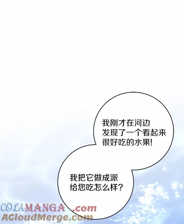 《我从没抛弃过陛下》18.觉醒力量 第97页