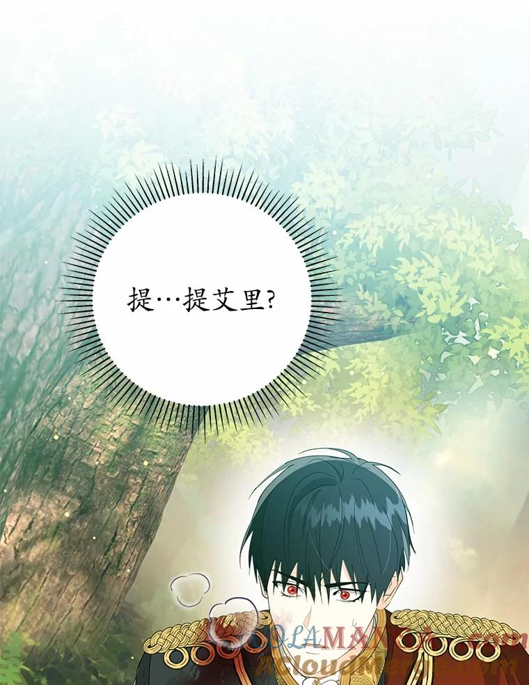 《我从没抛弃过陛下》18.觉醒力量 第13页