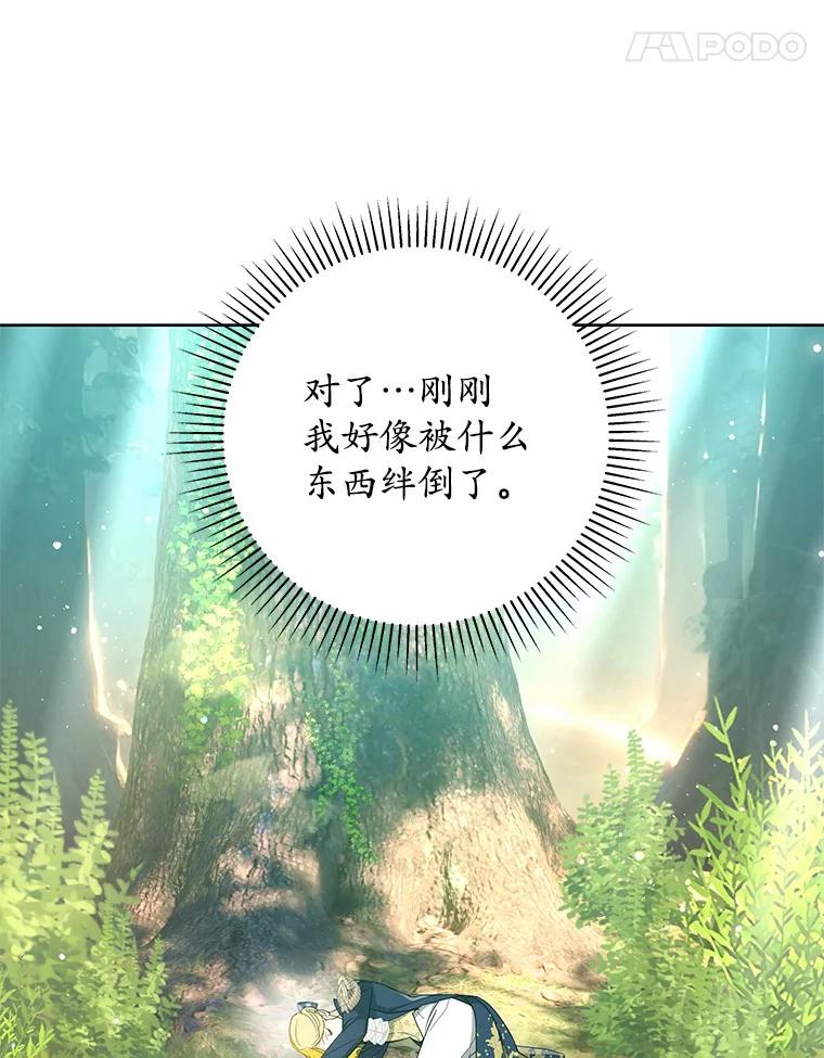 《我从没抛弃过陛下》18.觉醒力量 第8页