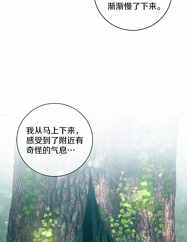 《我从没抛弃过陛下》19.失而复得 第57页