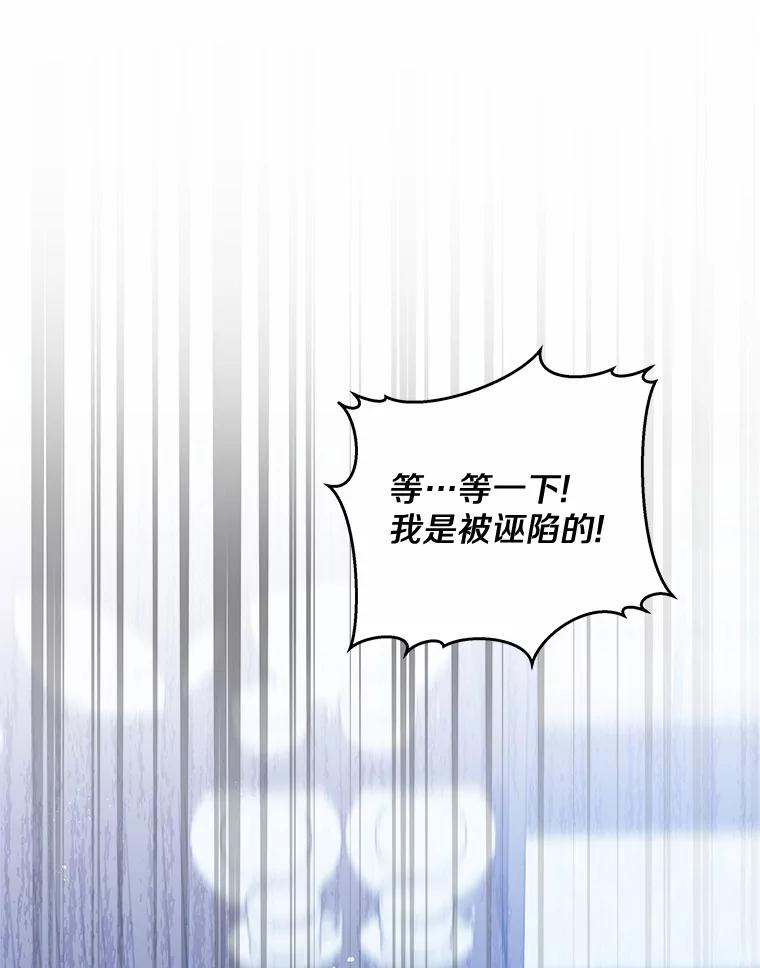 《我从没抛弃过陛下》23.你就是她 第12页