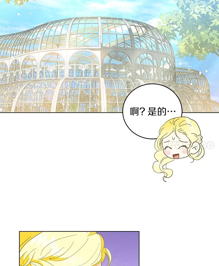 《我从没抛弃过陛下》24.疯了吧 第75页