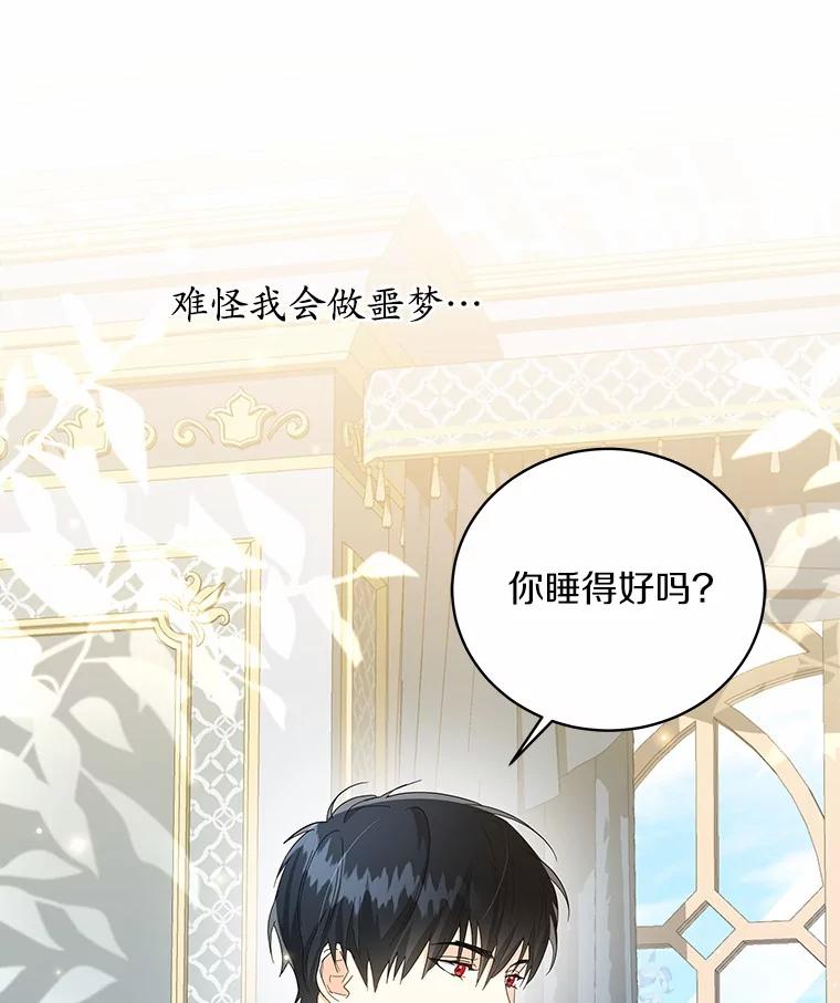 《我从没抛弃过陛下》24.疯了吧 第66页