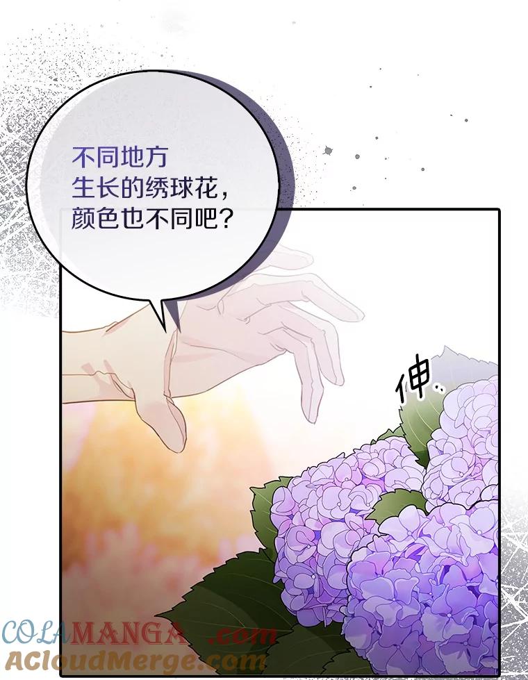 《吃干抹净还想跑？》27.绣球花 第64页