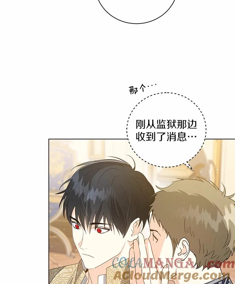 《我从没抛弃过陛下》28.冷血之人 第40页