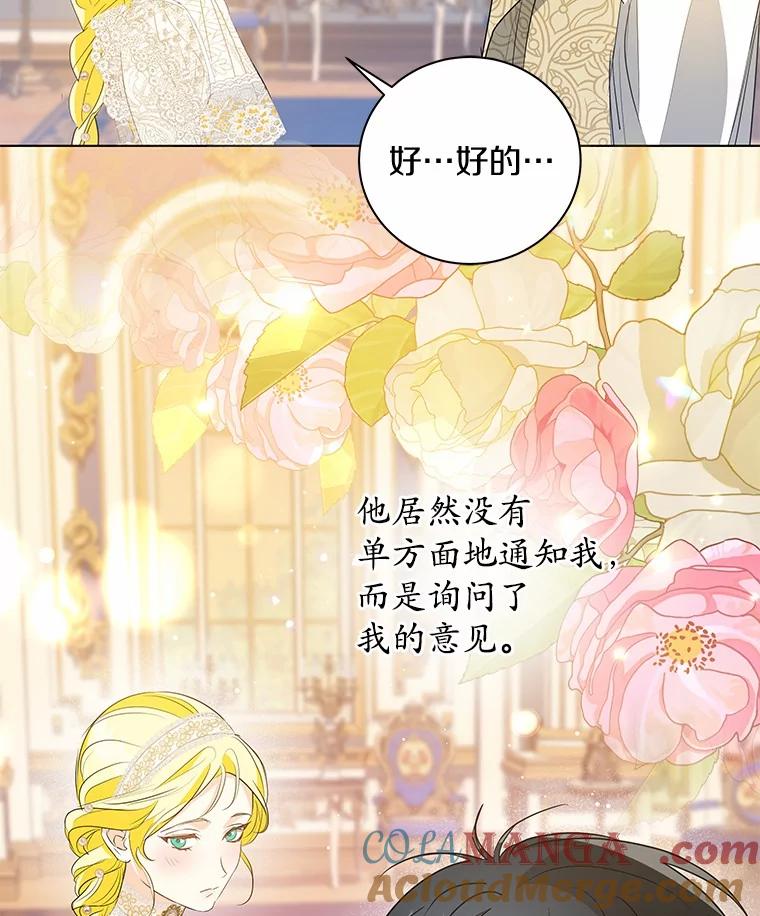《我从没抛弃过陛下》28.冷血之人 第43页
