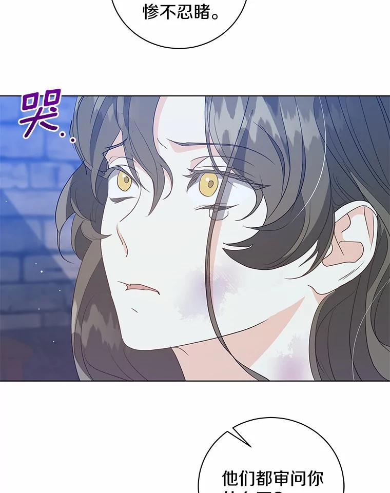 《我从没抛弃过陛下》28.冷血之人 第54页