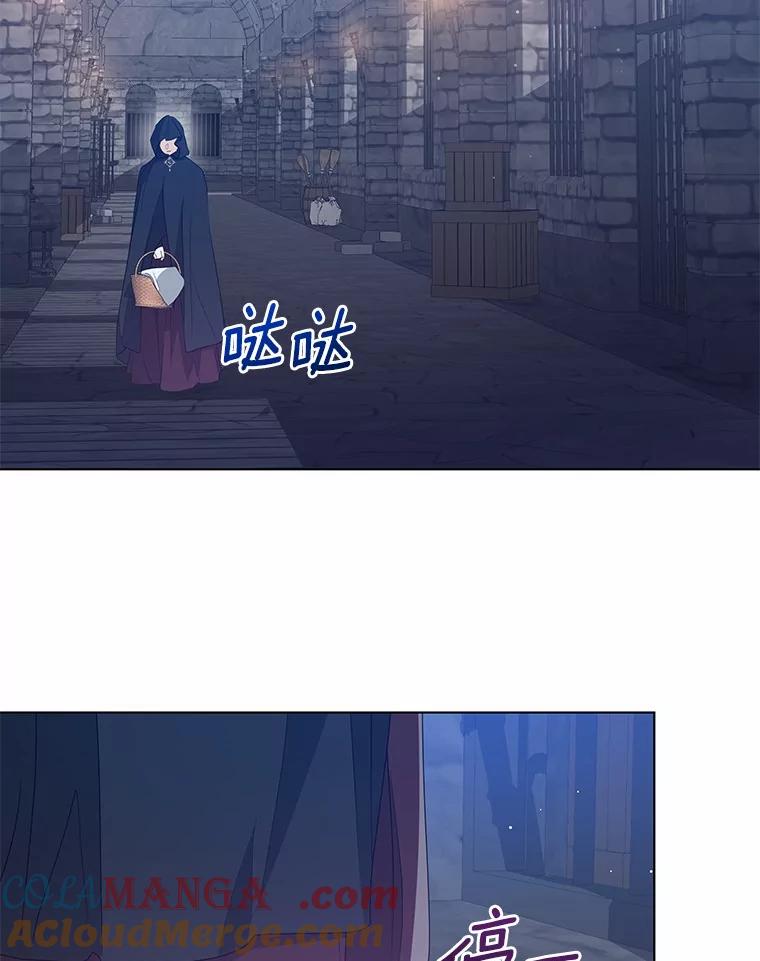 《我从没抛弃过陛下》28.冷血之人 第49页