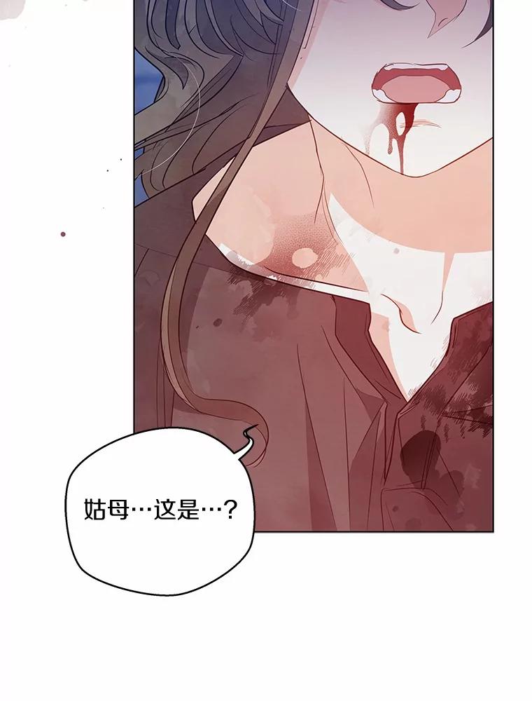 《我从没抛弃过陛下》28.冷血之人 第68页