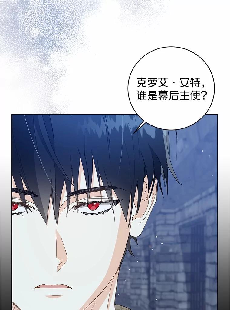 《我从没抛弃过陛下》29.舞伴邀请 第8页