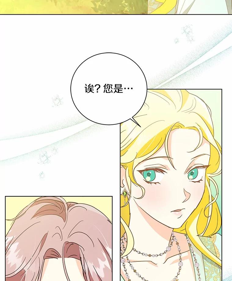 《我从没抛弃过陛下》29.舞伴邀请 第35页