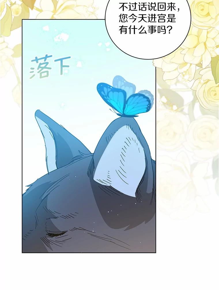 《我从没抛弃过陛下》29.舞伴邀请 第59页