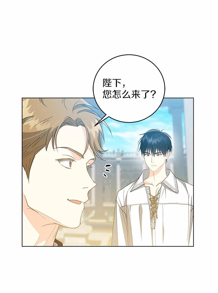 《我从没抛弃过陛下》30.我的舞伴 第3页