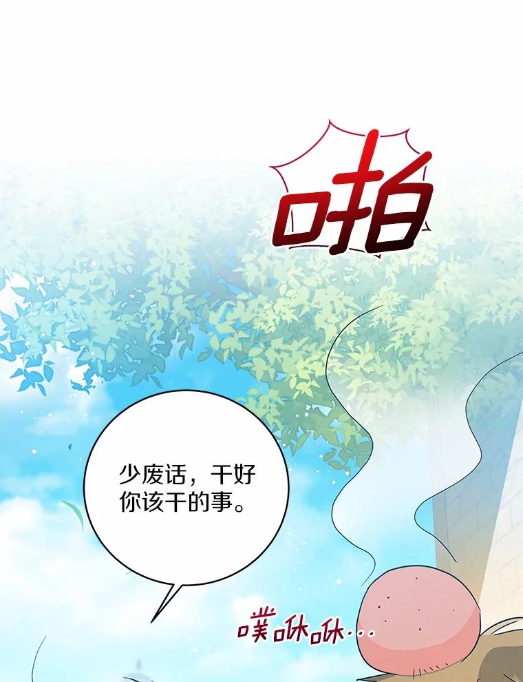 《我从没抛弃过陛下》30.我的舞伴 第12页