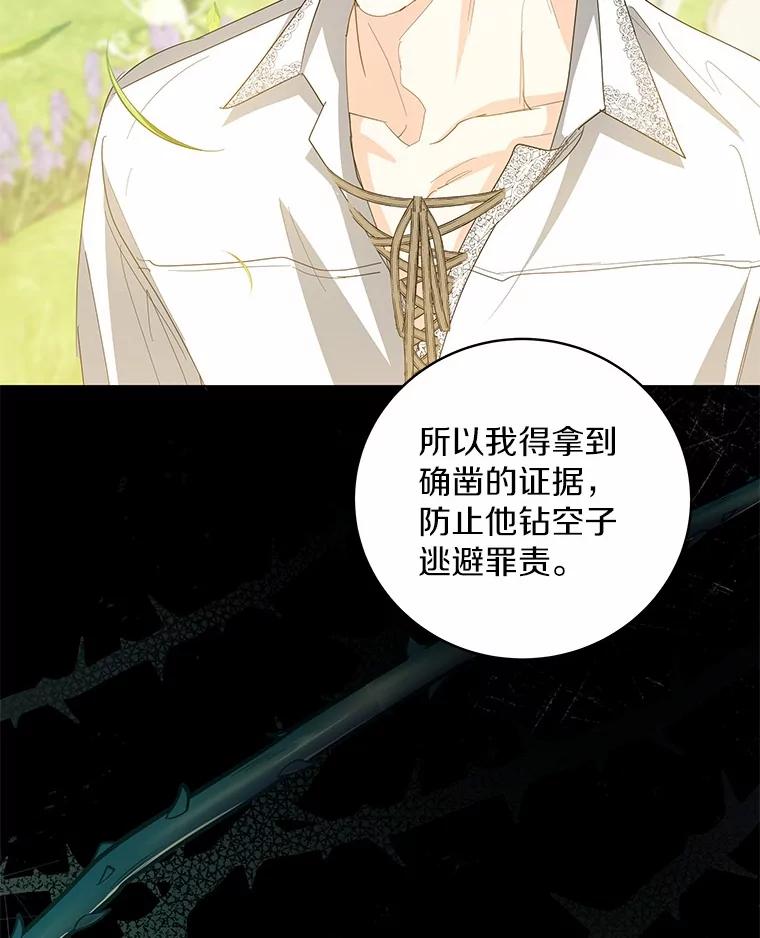 《我从没抛弃过陛下》31.在意的人 第56页
