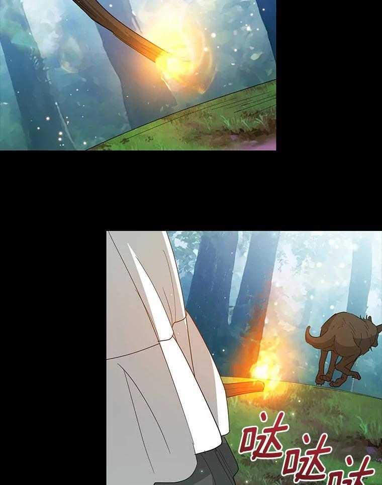《我从没抛弃过陛下》31.在意的人 第74页