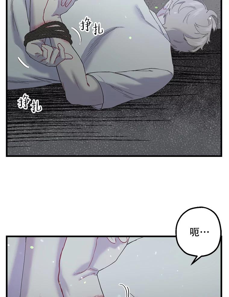 《第二个丈夫》39.绑架 第87页