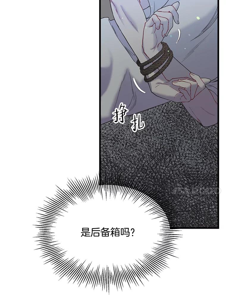 《第二个丈夫》39.绑架 第66页