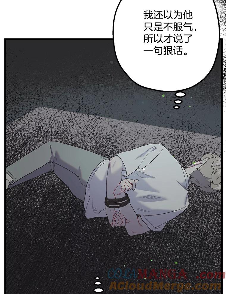《第二个丈夫》39.绑架 第77页