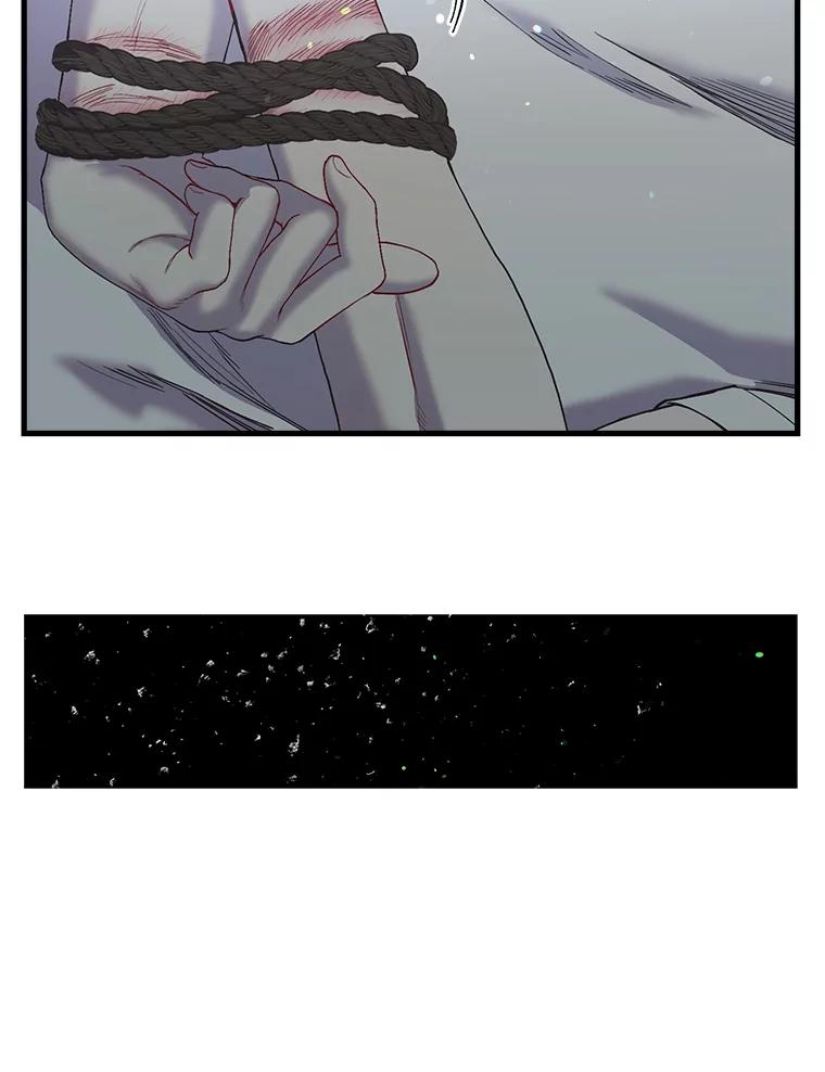 《第二个丈夫》39.绑架 第88页