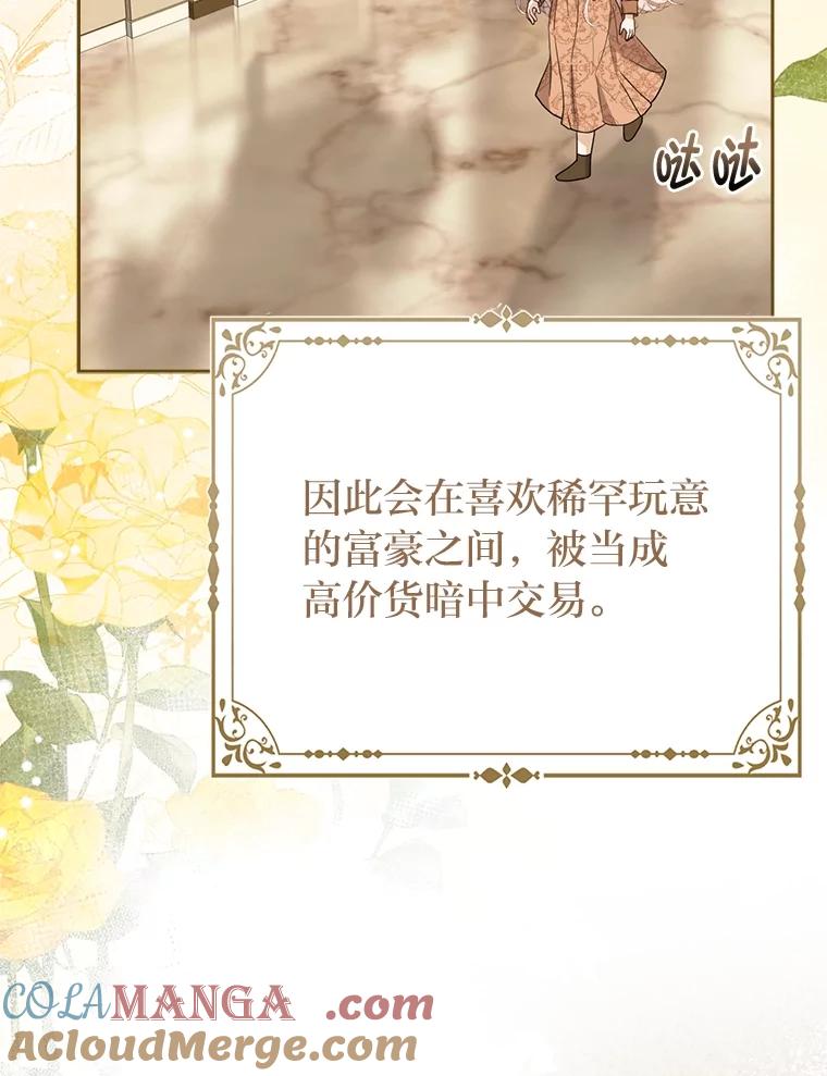 《反派们最爱的我》3.狠坑舅舅一笔 第37页